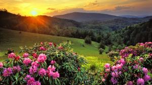 nature