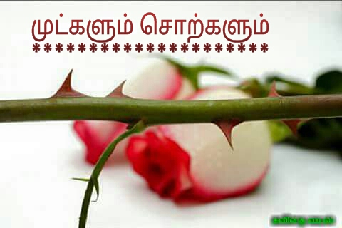 முட்களும் சொற்களும்!