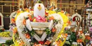 images (1)