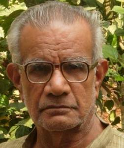 12096615_544287879057749_1496629938531303543_n