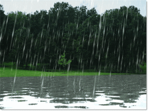 rain-fall