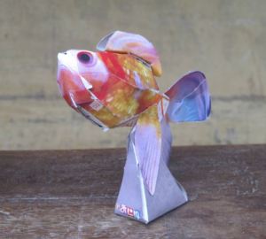 sutti fish