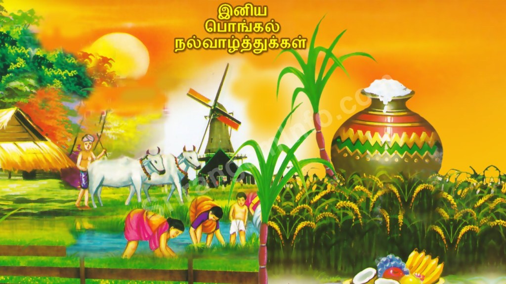pongal-tamil-quotes-wallpapers