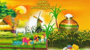 pongal-tamil-quotes-wallpapers