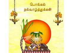 pongal4