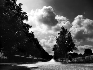 we_have_a_long_way_to_go__by_down_hearted