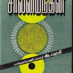 சாலிமைந்தன் பாவியம்