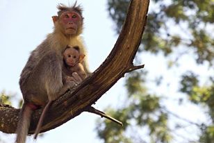 13140725_1010192735701592_721942733_n