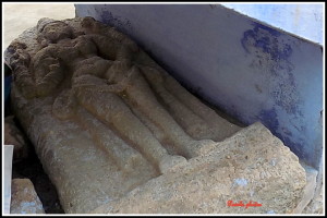 DSCN1615