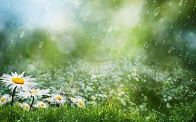 summer rain
