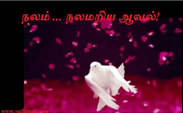 நலம் …. நலமறிய ஆவல் …… (6)