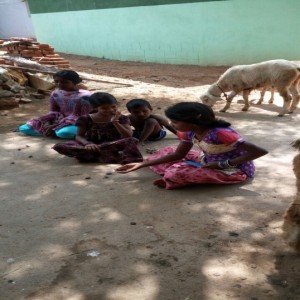 Anjal
