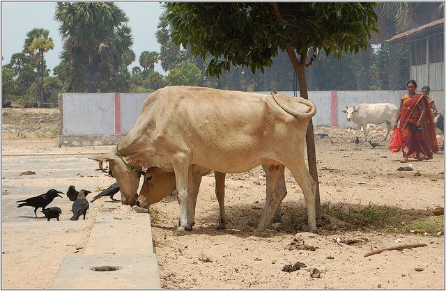 13599462_1042198989167633_571495808_n