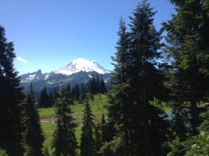 Mt Rainer