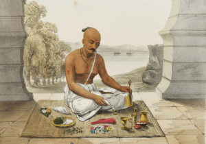 brahmin