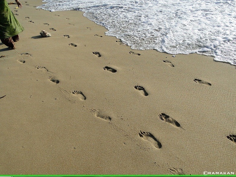 15320292_1165074813546716_841877321_n