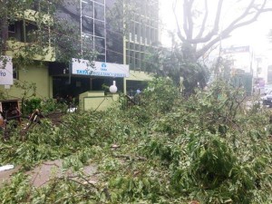vardah