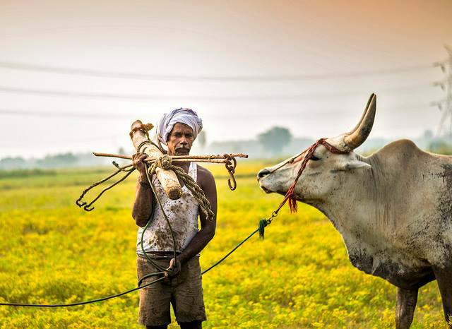 16117525_1208269852560545_1677354804_n