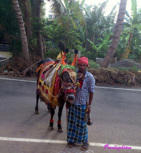 boomboom maadu