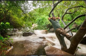 man lying on tree