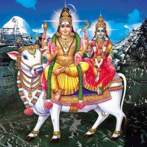 meaning-of-deer-shiva-hand