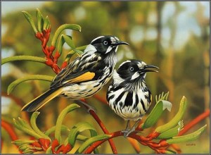 birds