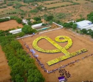 14088488_1123402657748221_4120214870862385499_n