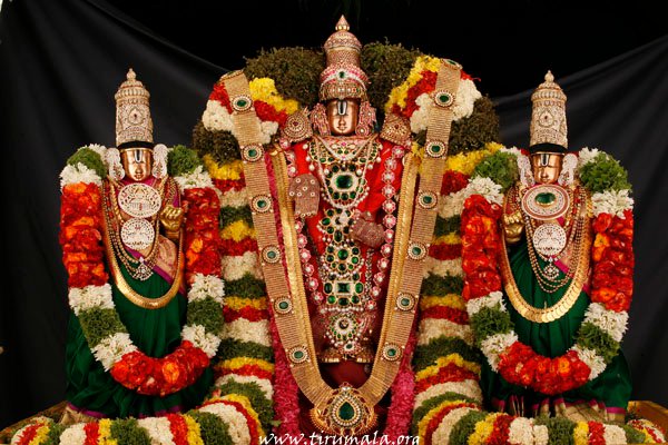 165382_168349703210073_100001051325299_395411_1321745_n