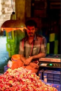 flower merchant