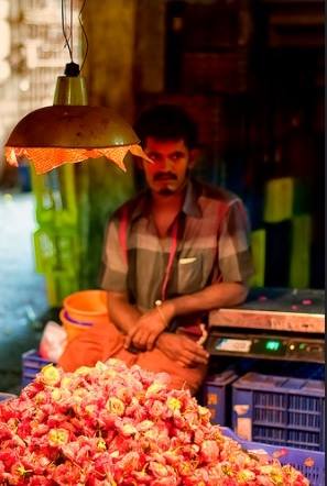 flower merchant