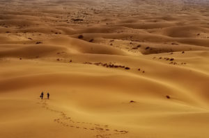 desert_7