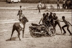kaalai