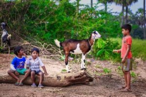 Photo poetry contest 194