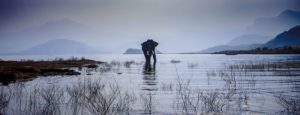 Photo poetry contest 195
