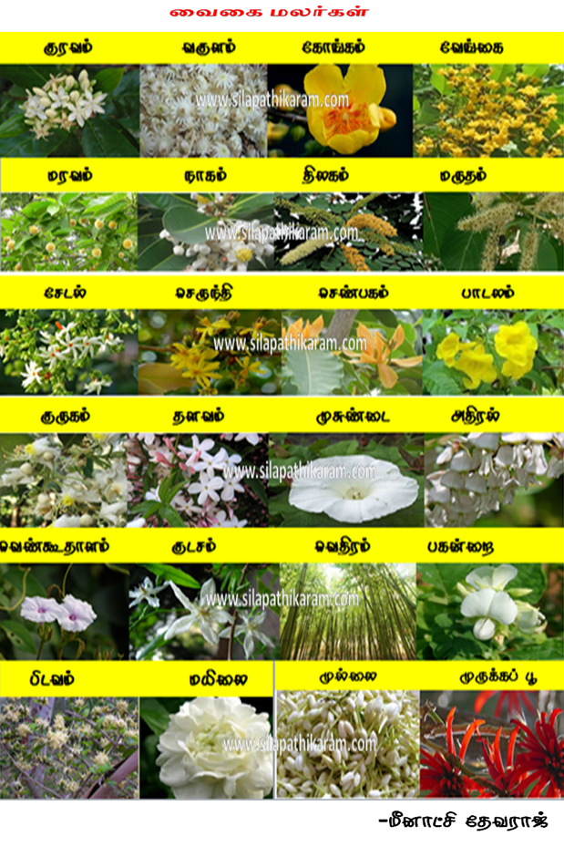 (Peer Reviewed) சிலம்பில் மலர்கள்