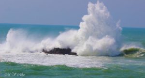 Photo poetry contest 199