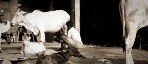 Photo-poetry-contest-205
