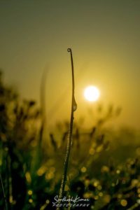 Photo-poetry-contest-207