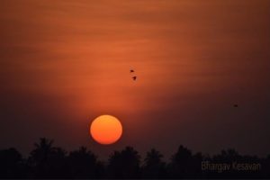 Photo poetry contest 209