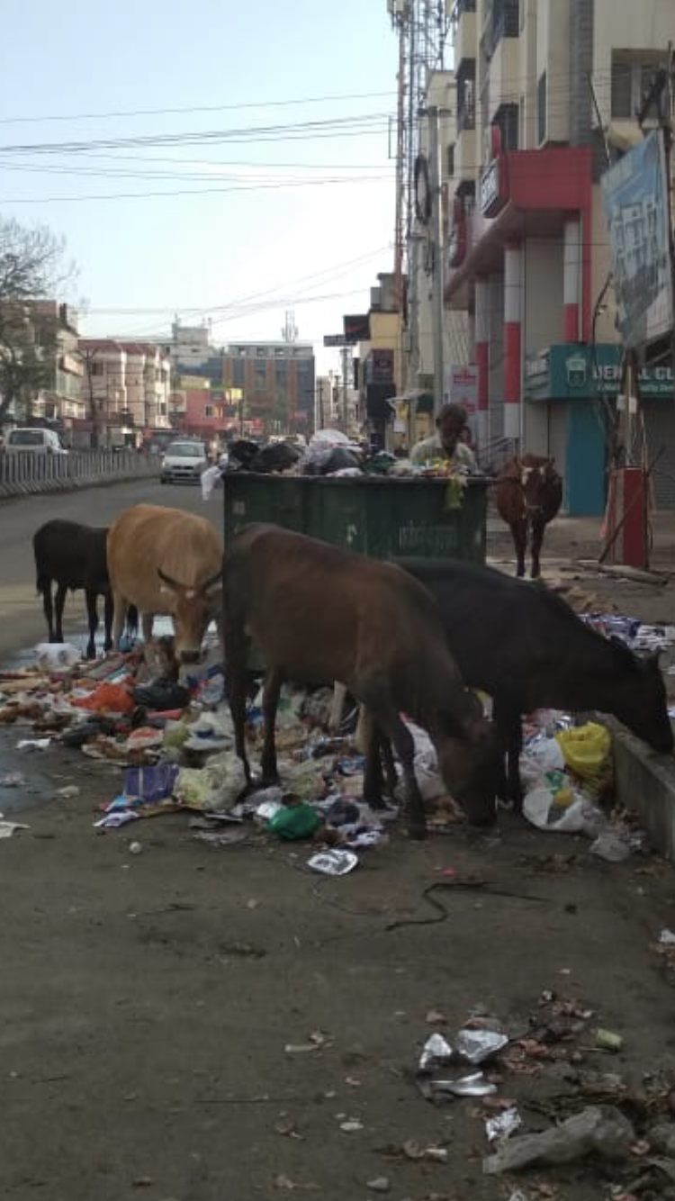 D401E66A-99F3-46C2-868D-627C789B1B15