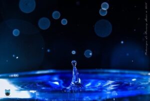 Photo poetry contest 219