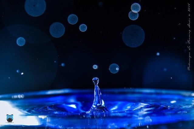 Photo poetry contest 219