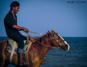 Photo poetry contest 228