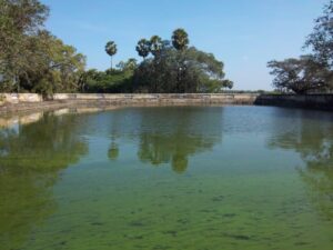 Pond-ooruni