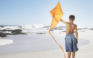 kite