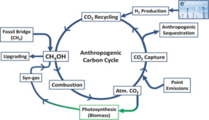 Carbon cycle