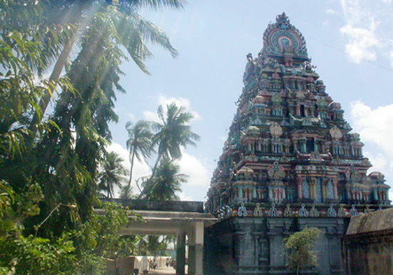 மீனவர் ஆற்றிய கோவில் தொண்டு