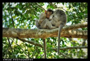 Photo poetry contest 242