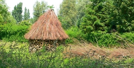 பென்சில்லையா