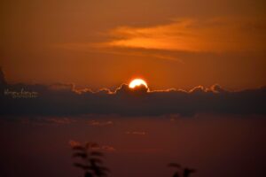 Photo-poetry-contest-255